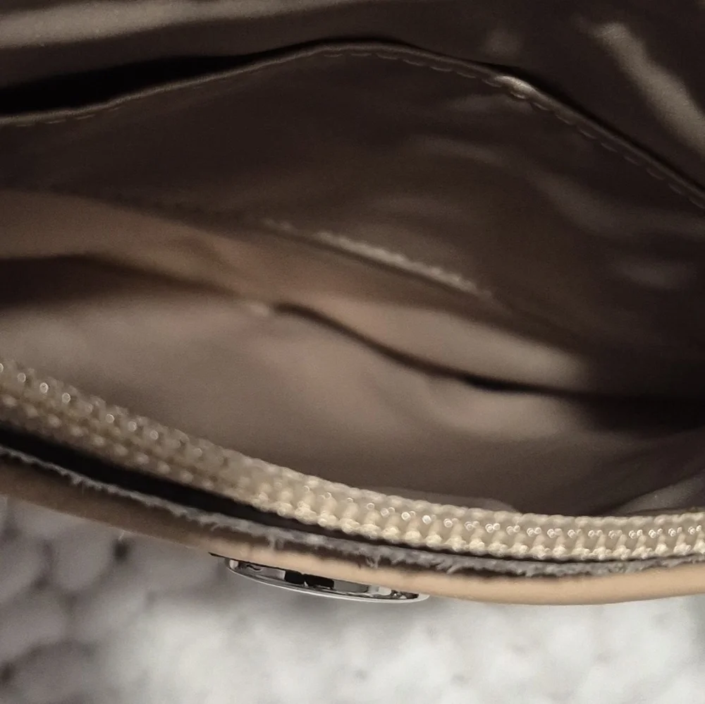 Coach Snakeskin Pattern Crossbody Bag